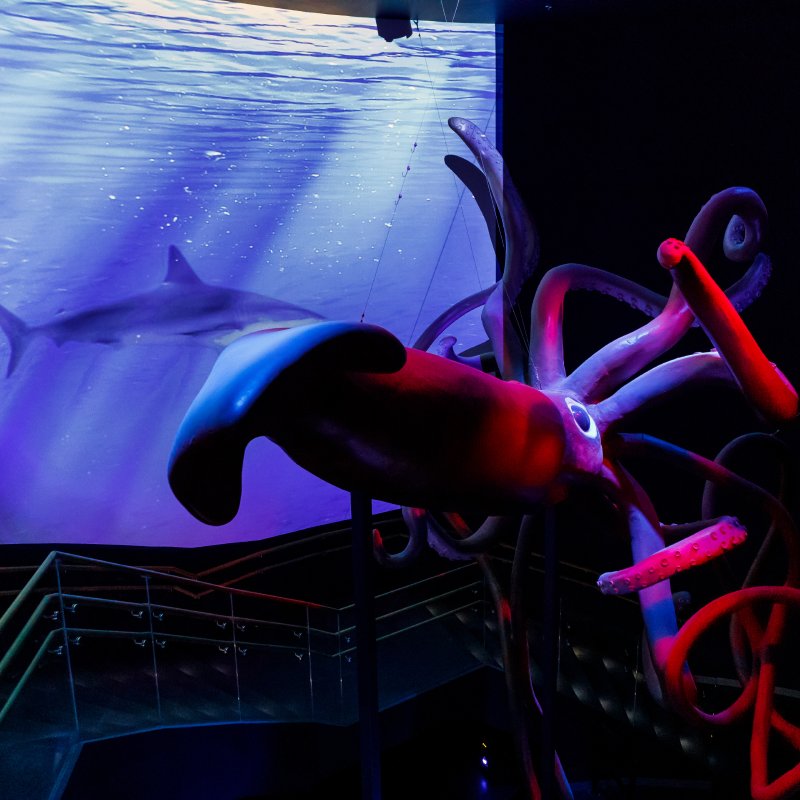 Atlantis Aquarium Madrid